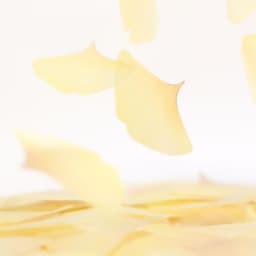 [APREE]スティッキーリーフ_透明イチョウ(Yellow,L) 2