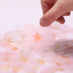 [APREE]スティッキーリーフ_透明桜(White,L) 4