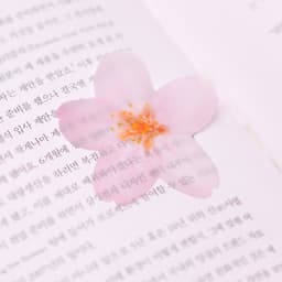 [APREE]スティッキーリーフ_透明桜(Pink,L) 5