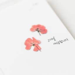 [アプリ] 押し花ステッカー_ゼラニウム 3