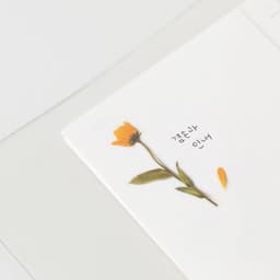 [アプリ]押し花ステッカー_カレンデュラ 3