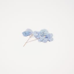 [アプリ]押し花ステッカー_アジサイ 2