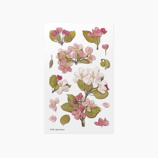 [アプリ]押し花ステッカー_リンゴの花 1