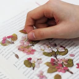 [アプリ]押し花ステッカー_リンゴの花 3