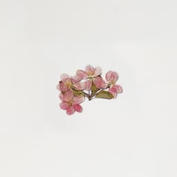 [アプリ]押し花ステッカー_リンゴの花 4
