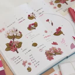 [アプリ]押し花ステッカー_リンゴの花 5