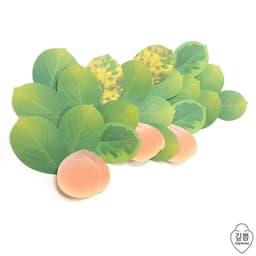 [ギップム]ピーチ-スティッキーノート 2