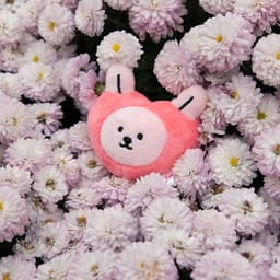 [デイリーライク]マイバディ ぬいぐるみキーホルダー - ハートソンイ 1