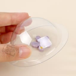 大切な思い出を保管するメモリーカプセル 3
