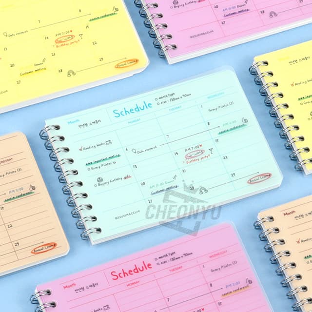 [スイム&クリム]シンプル PP 万年型スケジューラー（ランダム発送）